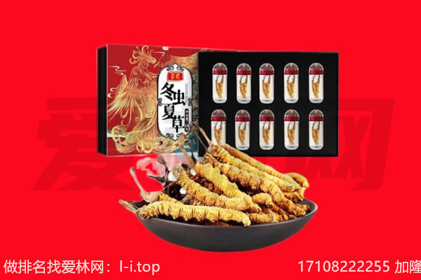 吕梁回收虫草.jpg